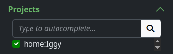 Autocomplete on project filter